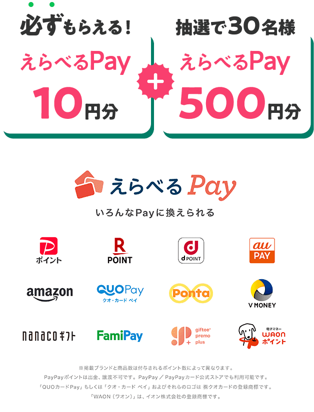 選べるpay